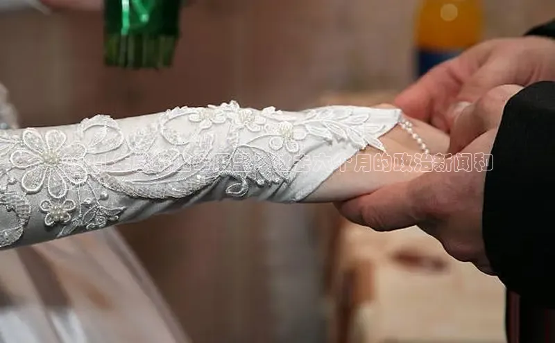 意昂4百度网盘企业版2024 年总统选举展望：过去六个月的政治新闻和
时事