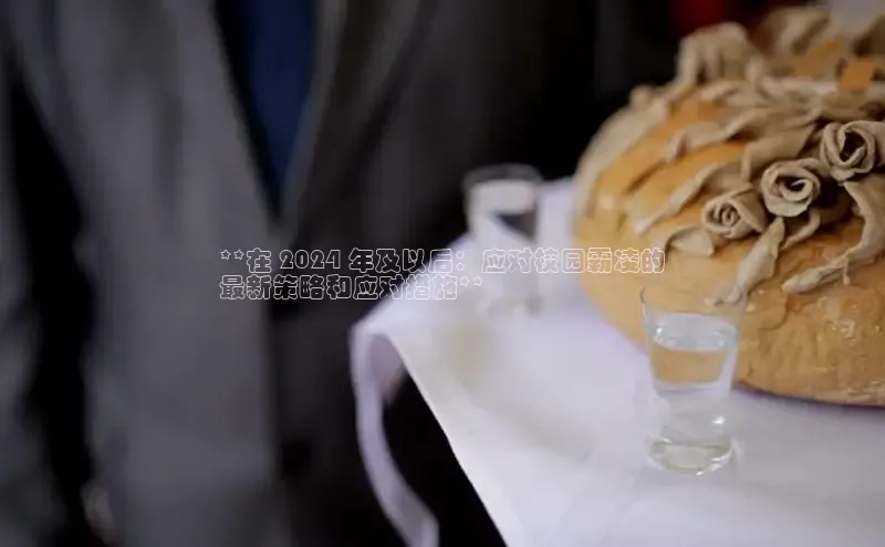 意昂体育4招商度小满支付**在 2024 年及以后：应对校园霸凌的
最新策略和应对措施**