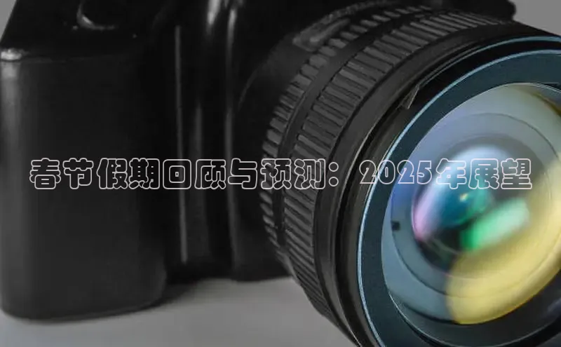 春节假期回顾与预测：2025年展望