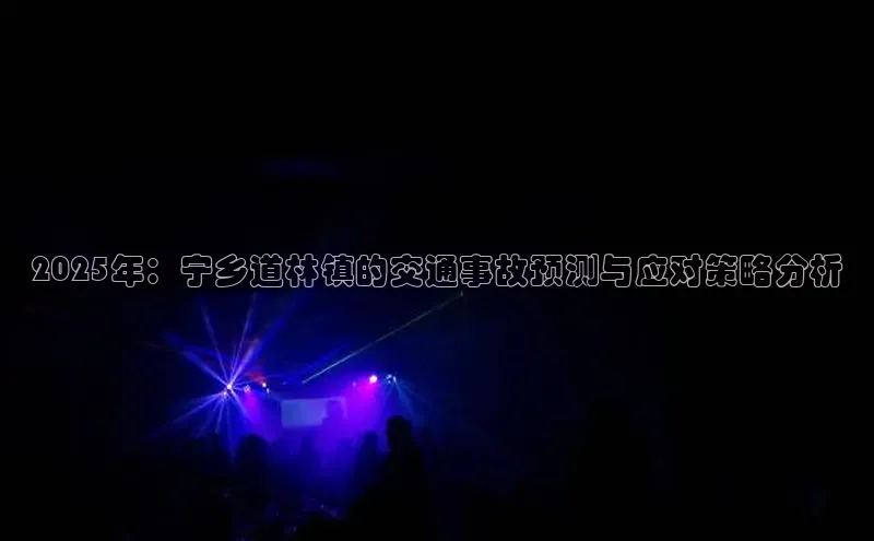 2025年：宁乡道林镇的交通事故预测与应对策略分析
