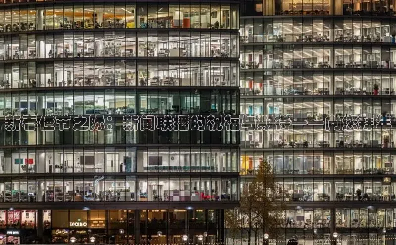 新春佳节之际：新闻联播的祝福与期待——向您拜年