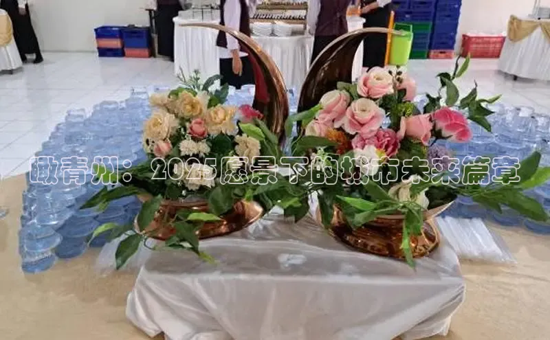 瞰青州：2025愿景下的城市未来篇章