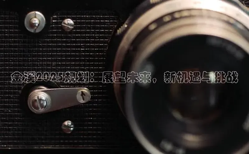 金溪2025规划：展望未来，新机遇与挑战