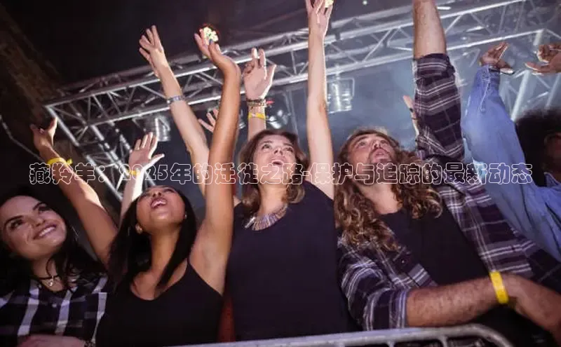 藏羚羊：2025年的迁徙之路-保护与追踪的最新动态