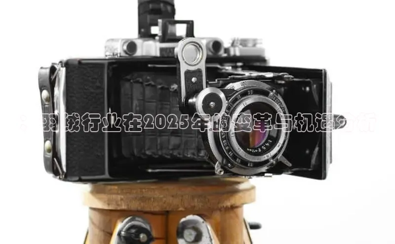 ：羽绒行业在2025年的变革与机遇分析