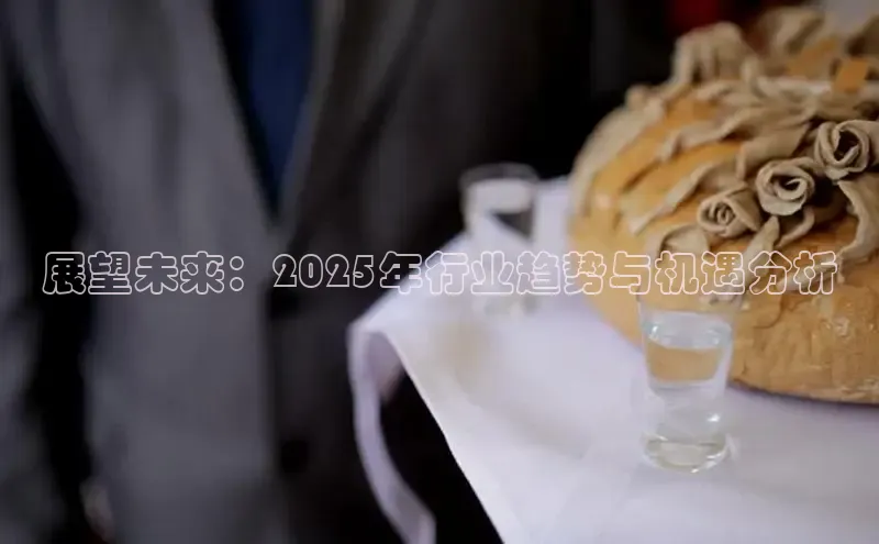 展望未来：2025年行业趋势与机遇分析